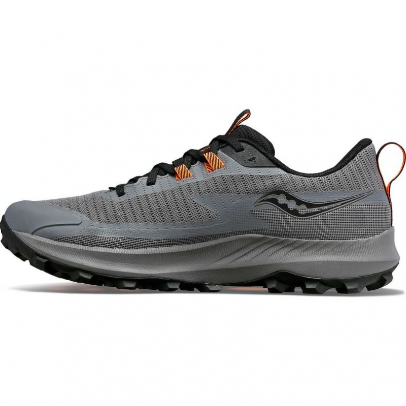 サッカニー Peregrine 13 GTX メンズ トレイルランニングシューズ グレー | JCMEWVQA